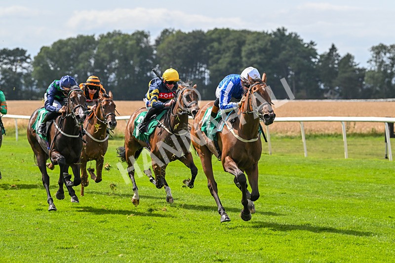 080825-Race 2-Daneh Of Dandy-1992 - Race 2