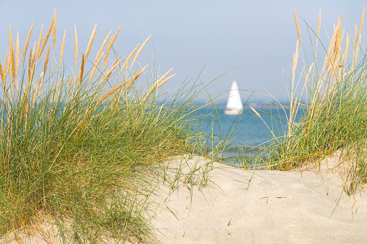 Yacht seen through sand dunes and grass  on a bright sunny day on the South coast at West Wittering