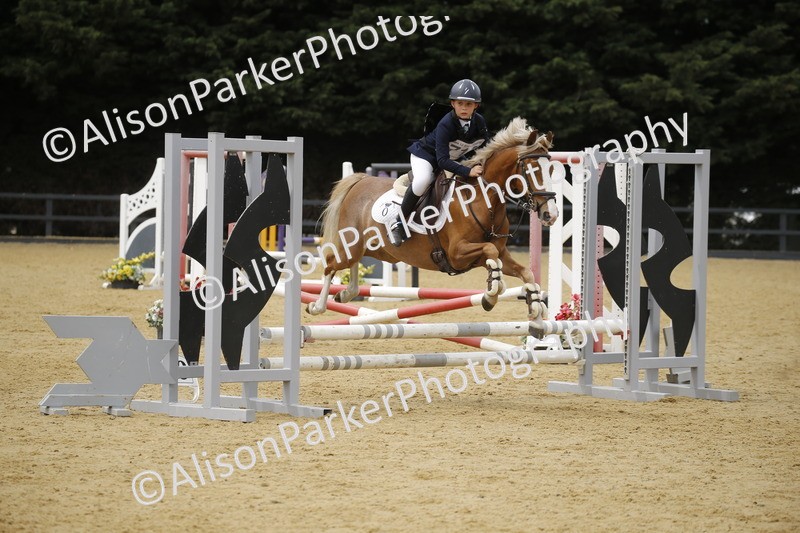 20250622-5933 - 60cm