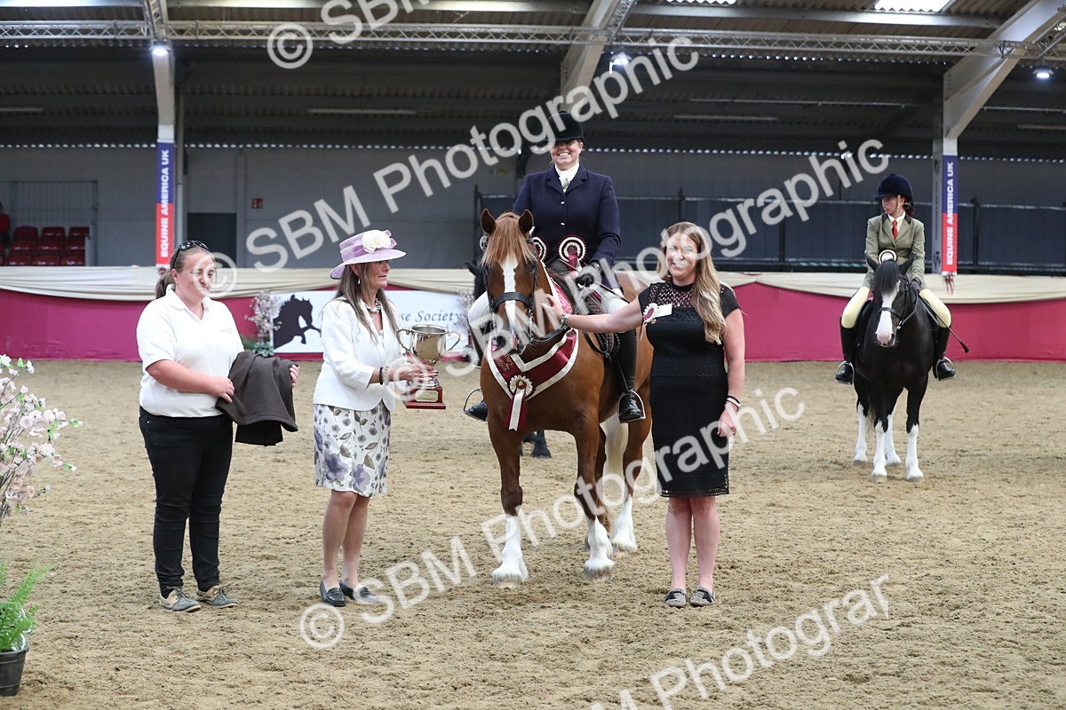 SBM_16507 - Class 502 M&M Ridden Supreme Final