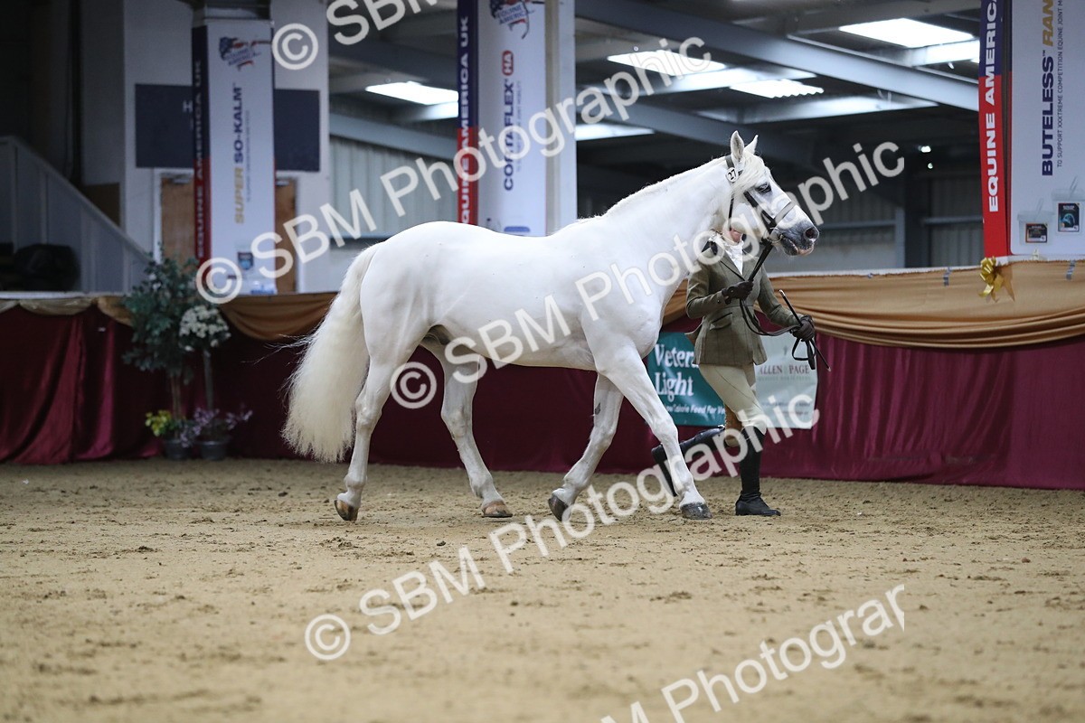SBM_04410 - Class 7R Regional - IH Diamond
