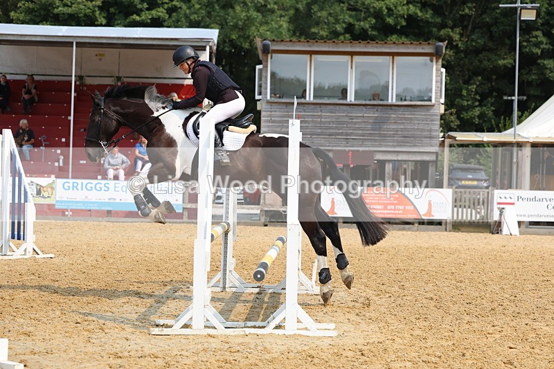 3E7A1303 - Class 4: Senior British Novice/90cm open