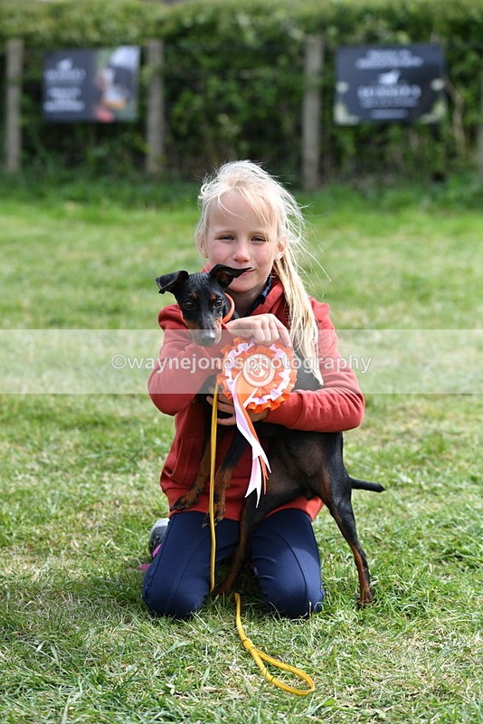 WJ5_0652 - Class 7 Best Terrier