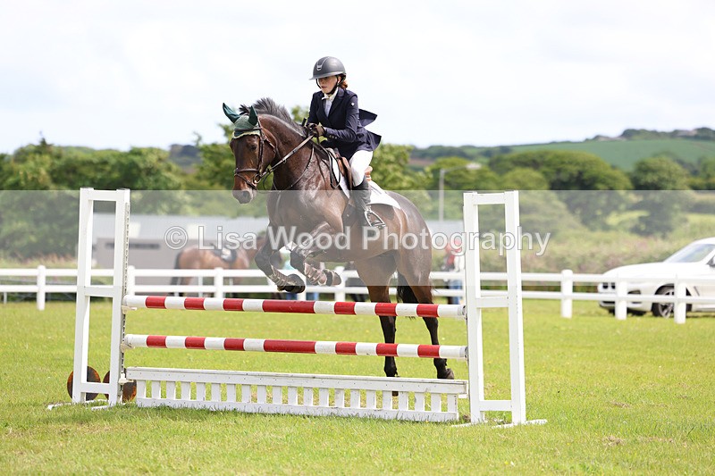 3E7A7697 - Class 13: Senior British Novice/90cm open