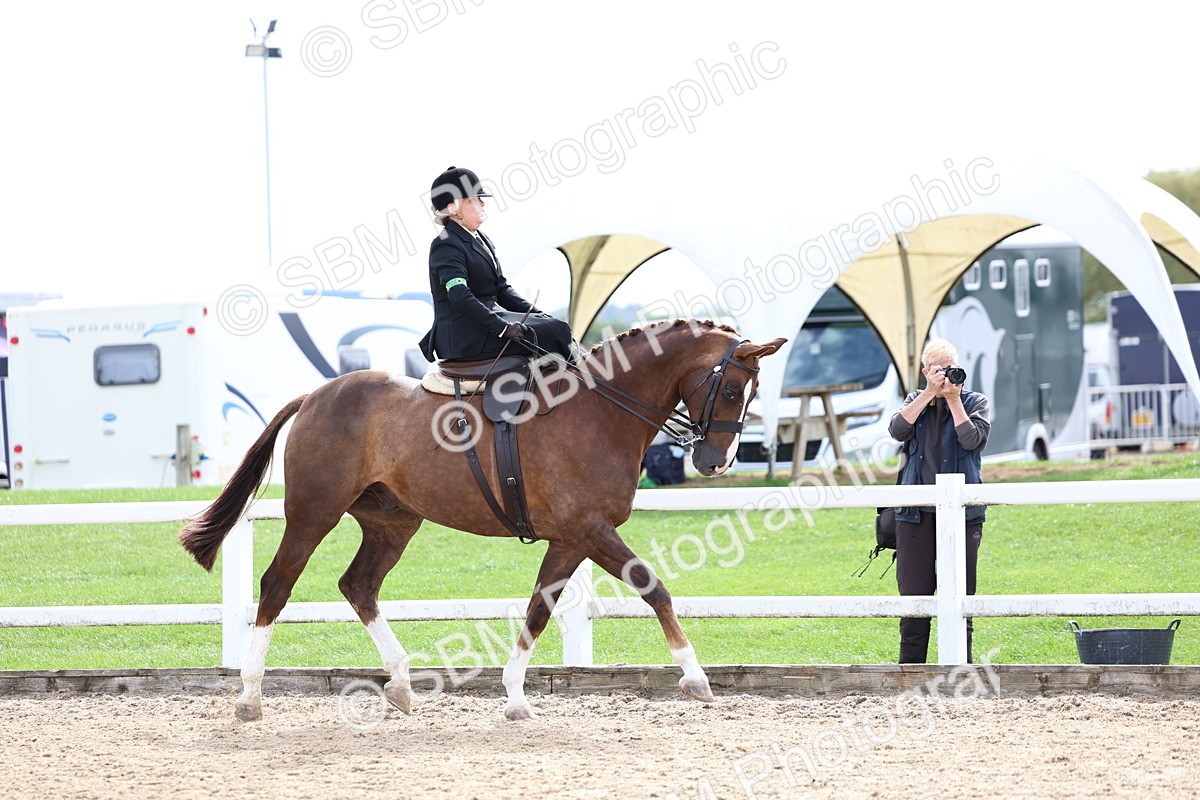 SBM_03297 - Class 23 - SSA Classical (any age)