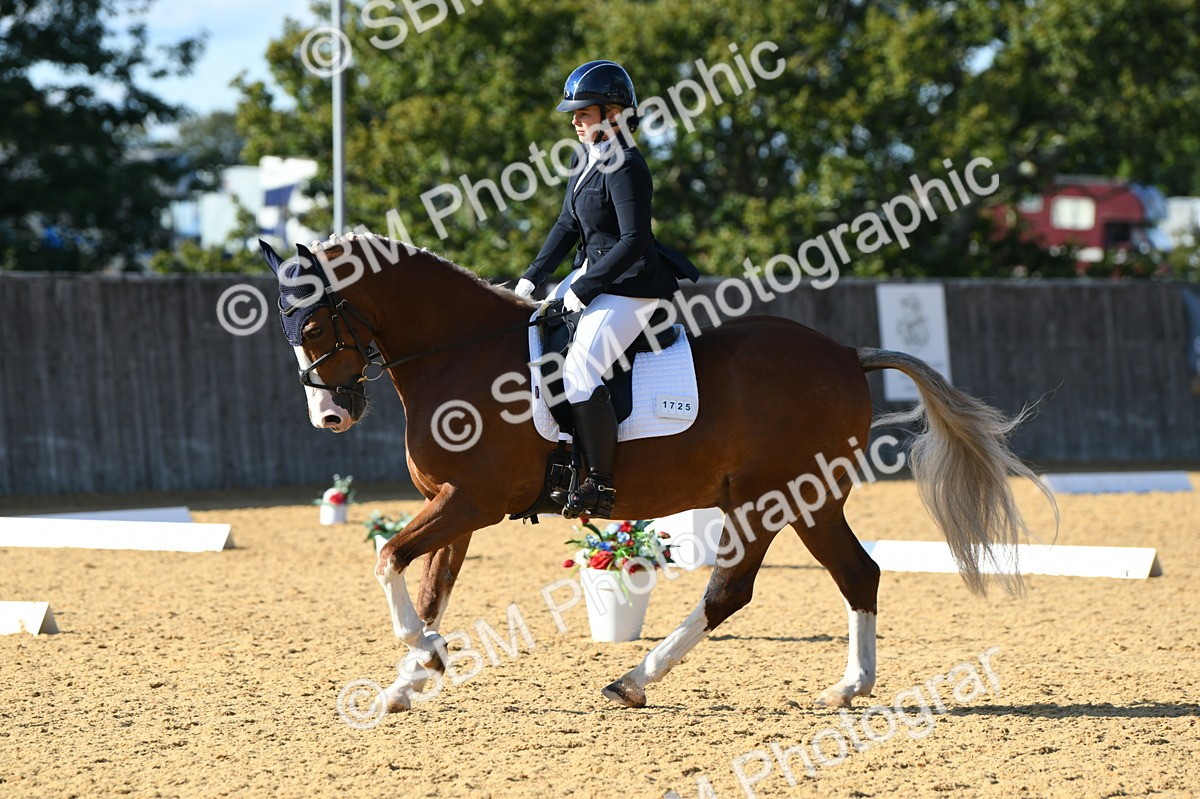 SBM_27314 - D16 - Small Tour Championship - Novice 28