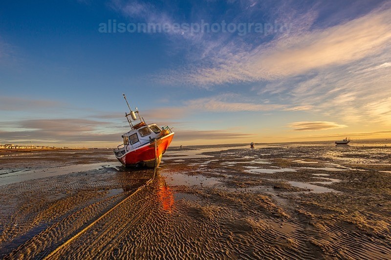  - Landscapes & Seascapes