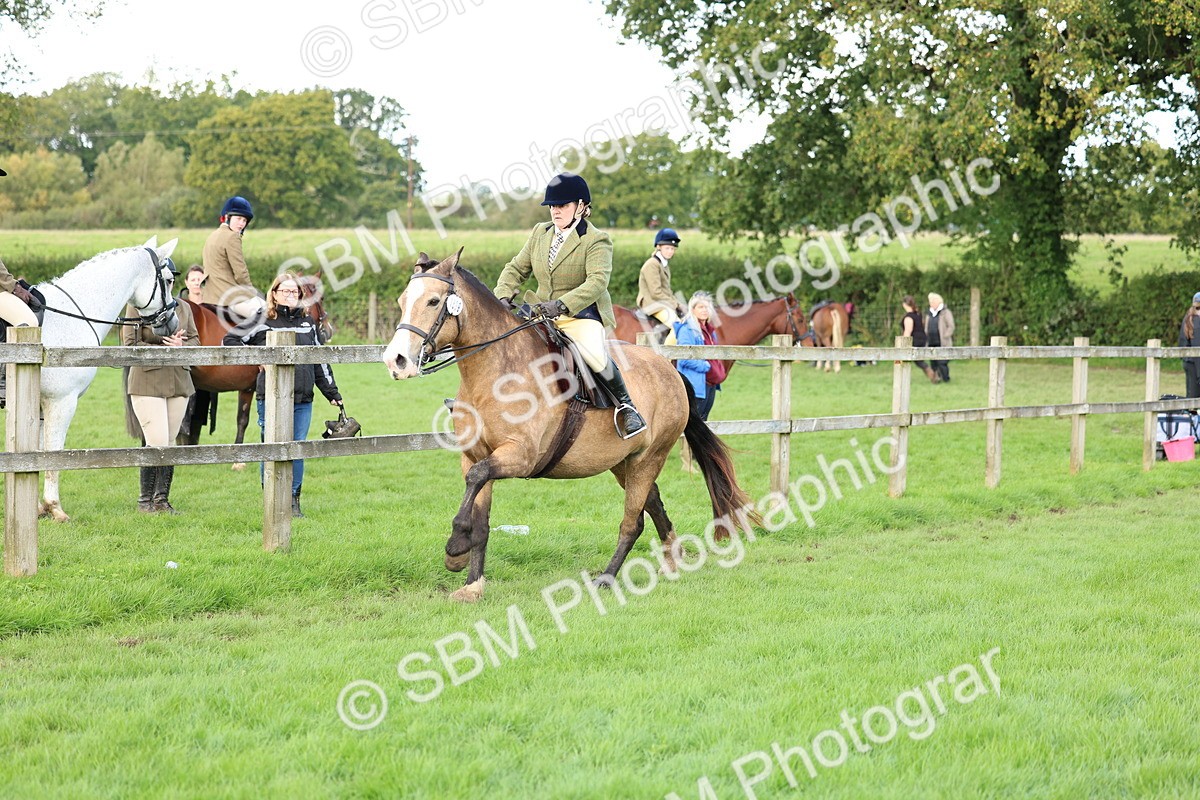 SBM_45549 - S33 - Working Hunter Pony