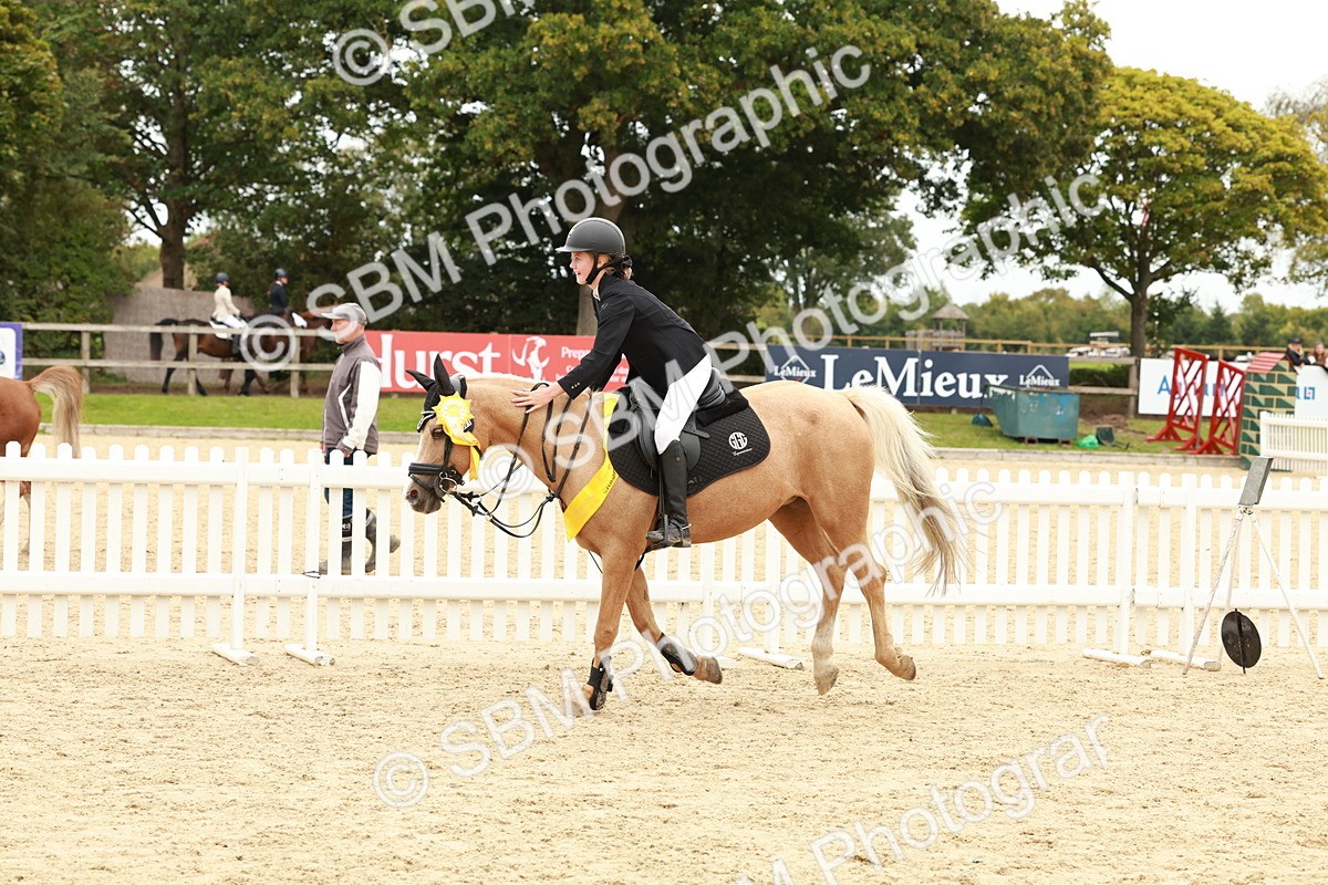 SBM_63930 - J12 - Junior Pony 55cm Championship