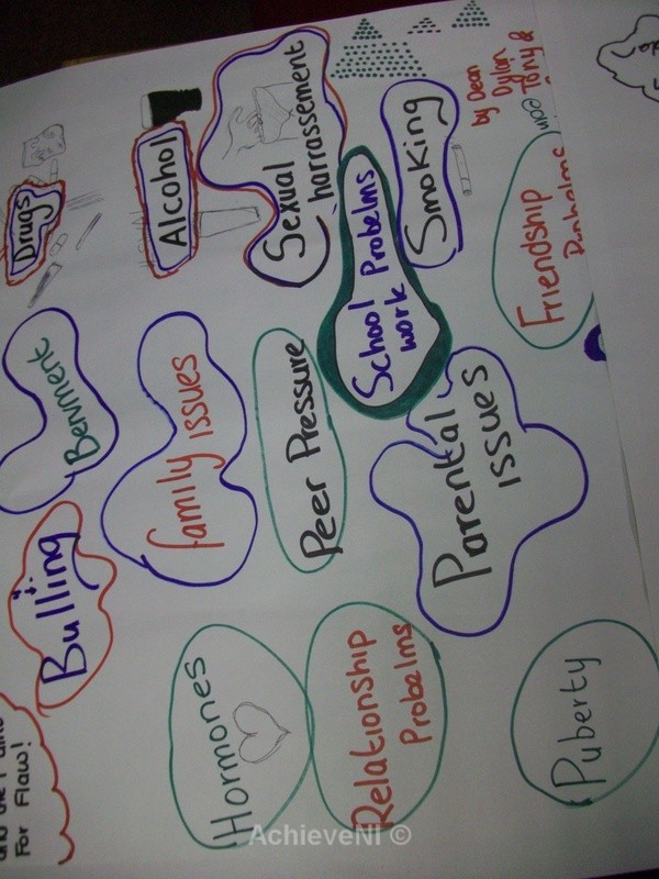  - Peer Mentoring Programme 2013