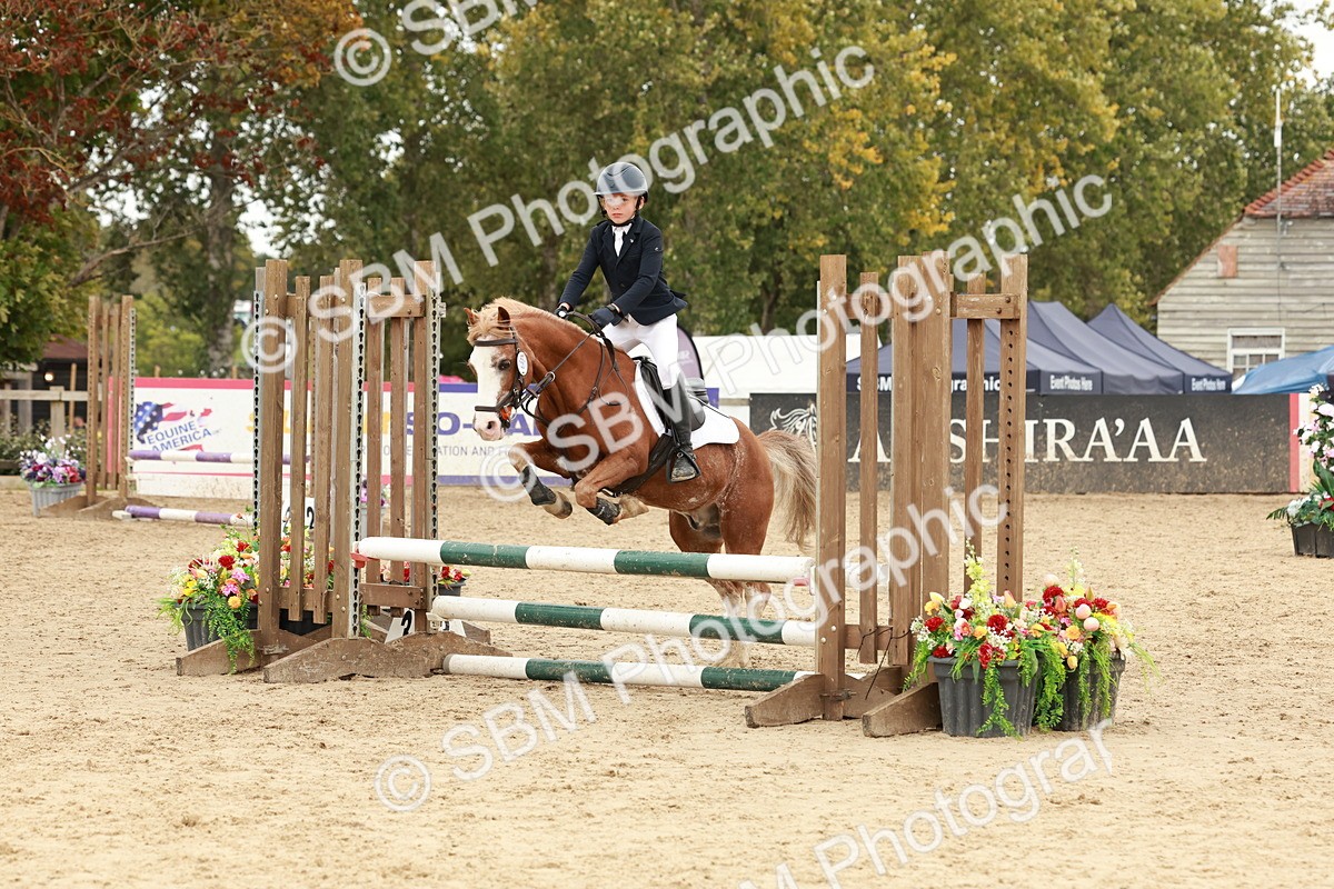 SBM_65296 - Supreme Championship 50cm & 55cm