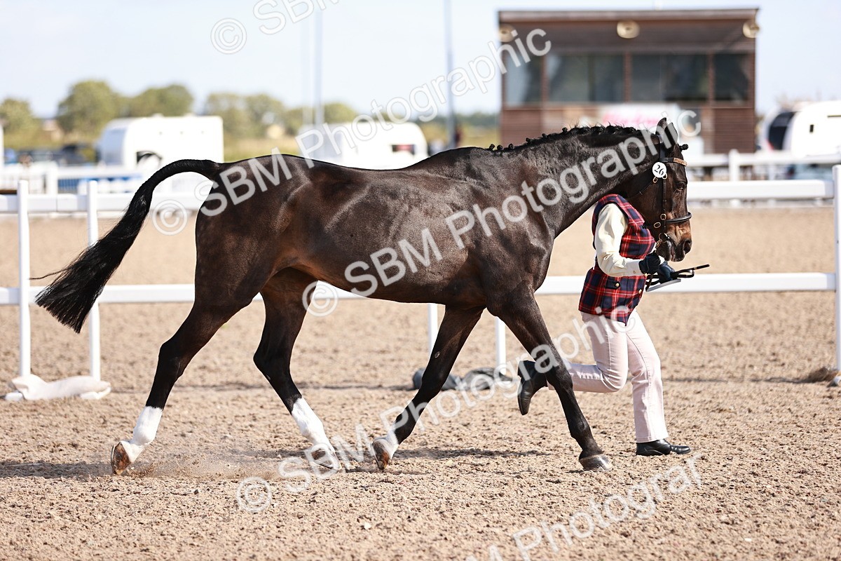 SBM_22793 - Class 705 - IH Combination 65+