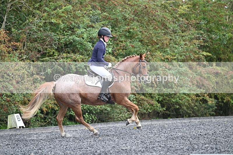 WJ7_3744 - Time 11:04 to 11:38