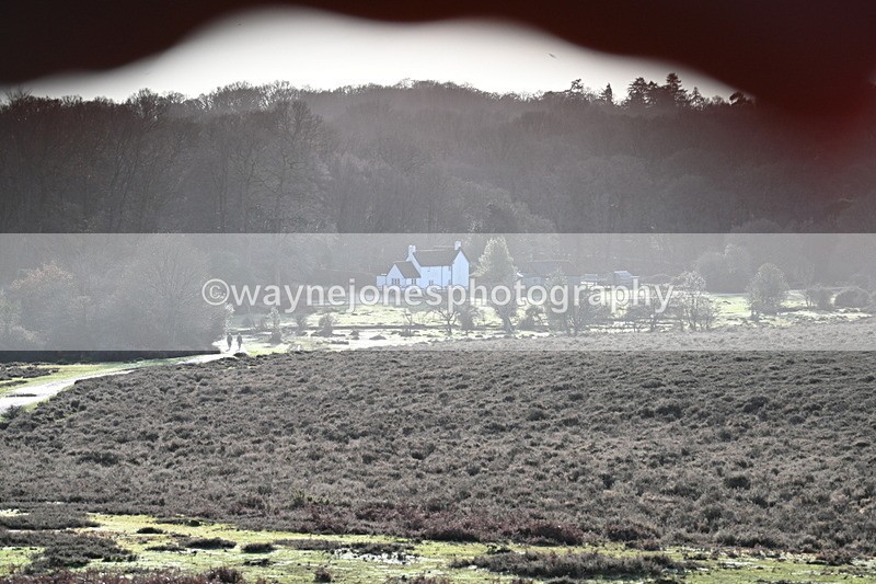 WJ7_7838 - Line 3 (no line 4 or 5)