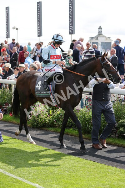 yr18082021r4-48 - Race 4 3.35pm Juddmonte International Stakes (British Champion Series race)