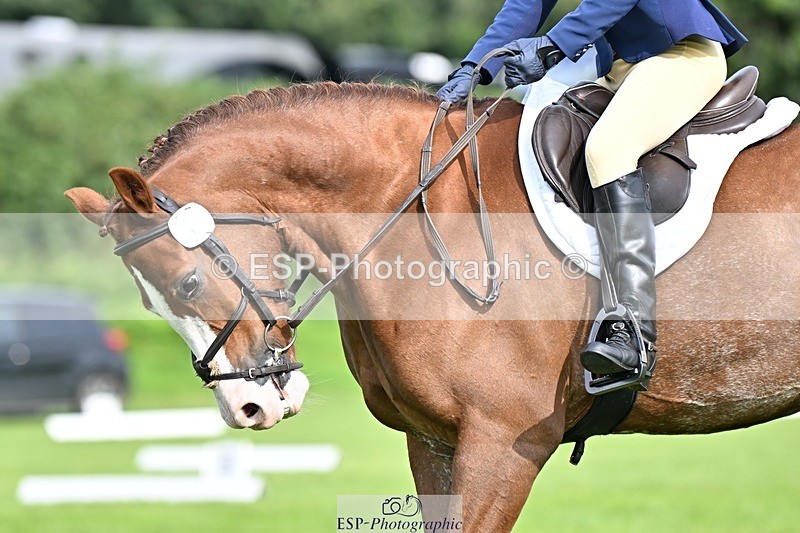 230826-100615-16371 - Sections A & B 10 to End