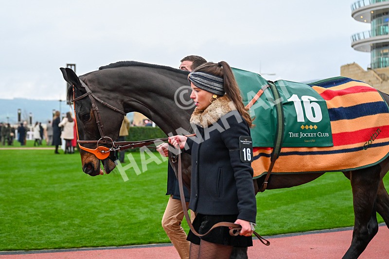 131224-Race 6-Iceo Madrik-9923 - Race 6