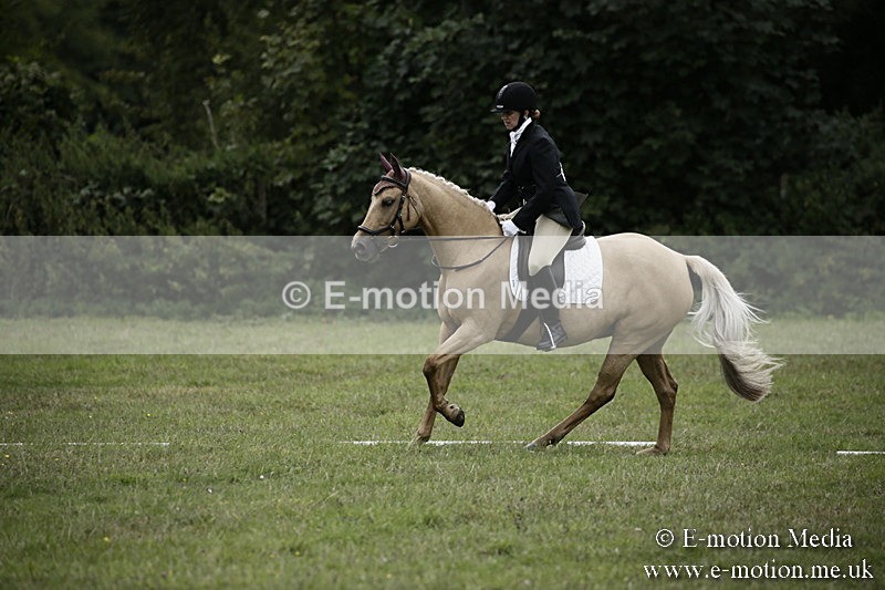 BVR080918 303 - BVRC Novice Dressage & CR 08/09/18