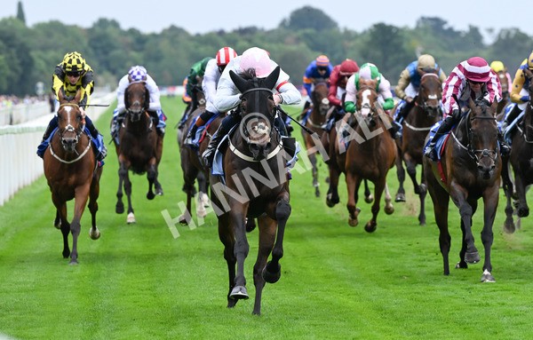 230825-123 Ethical Diamond - Race 4 3.35pm Sky Bet Ebor Handicap