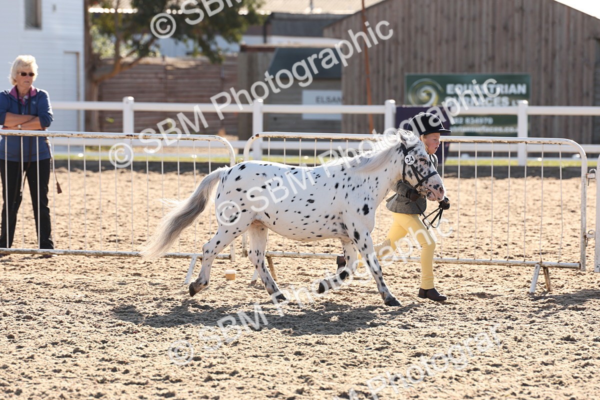 SBM_11646 - Class 203 - Young Handler 11 to 16 years
