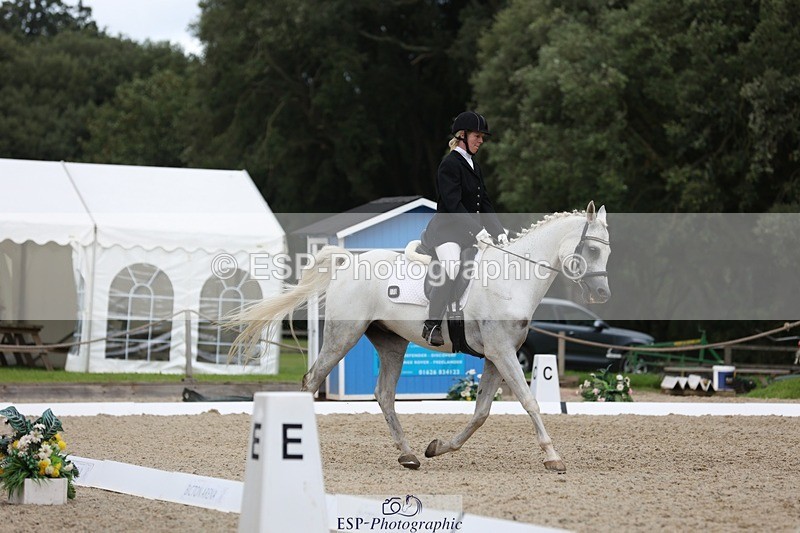 230812-151610-05088 - Cls 5 Novice Bronze 15.00 to End