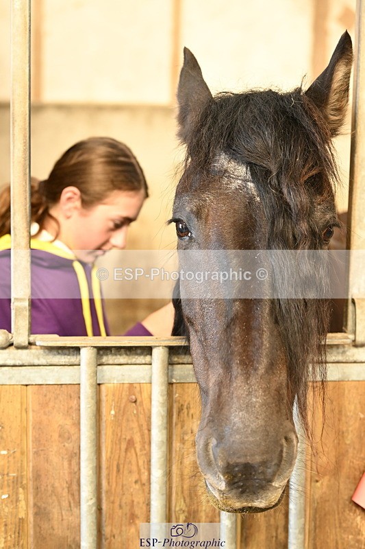 240809A-090304-00046 - Stable Shots