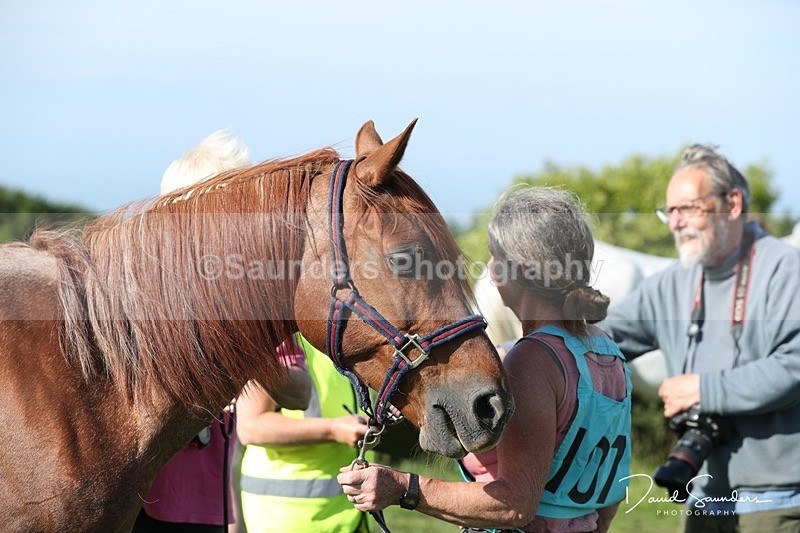 SPXX0099 - Friday vetting