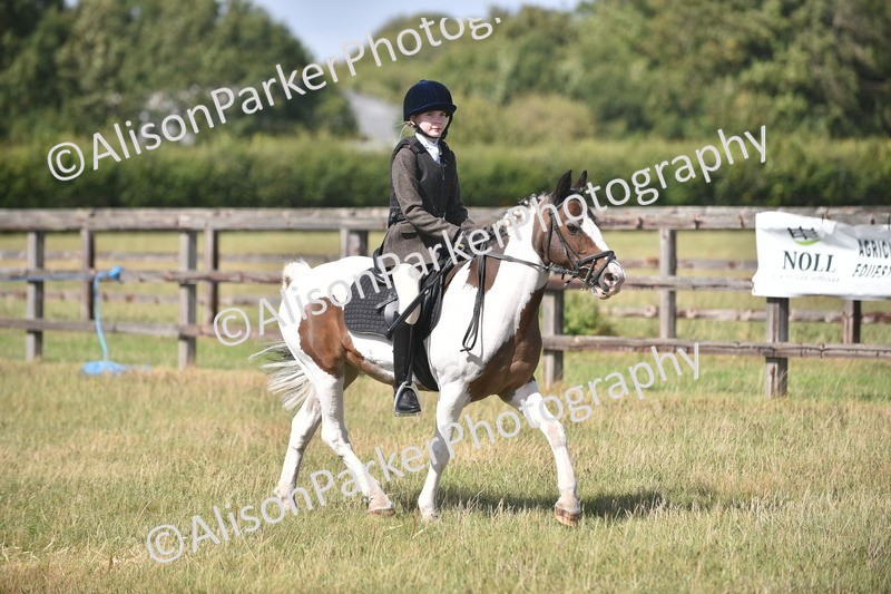 20260906-2653 - Class 12 - 14.2hh and Under