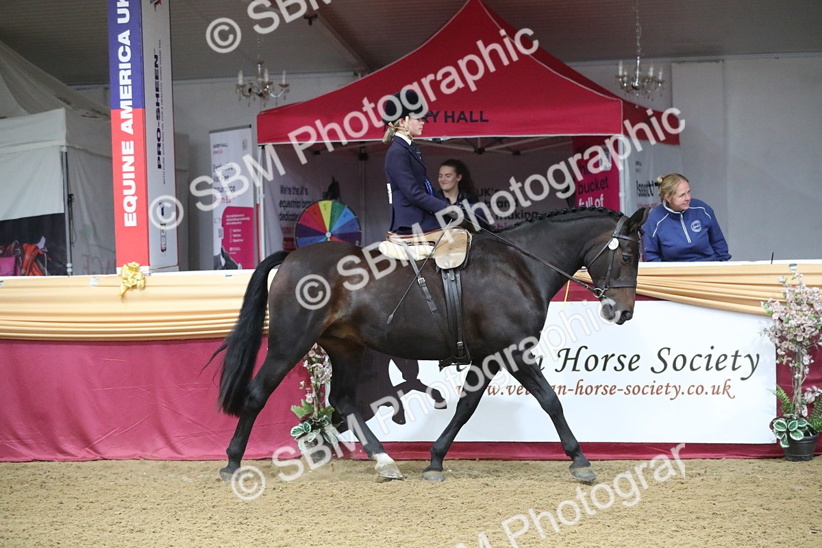 SBM_09392 - Class 101 Equitation (best rider), Junior