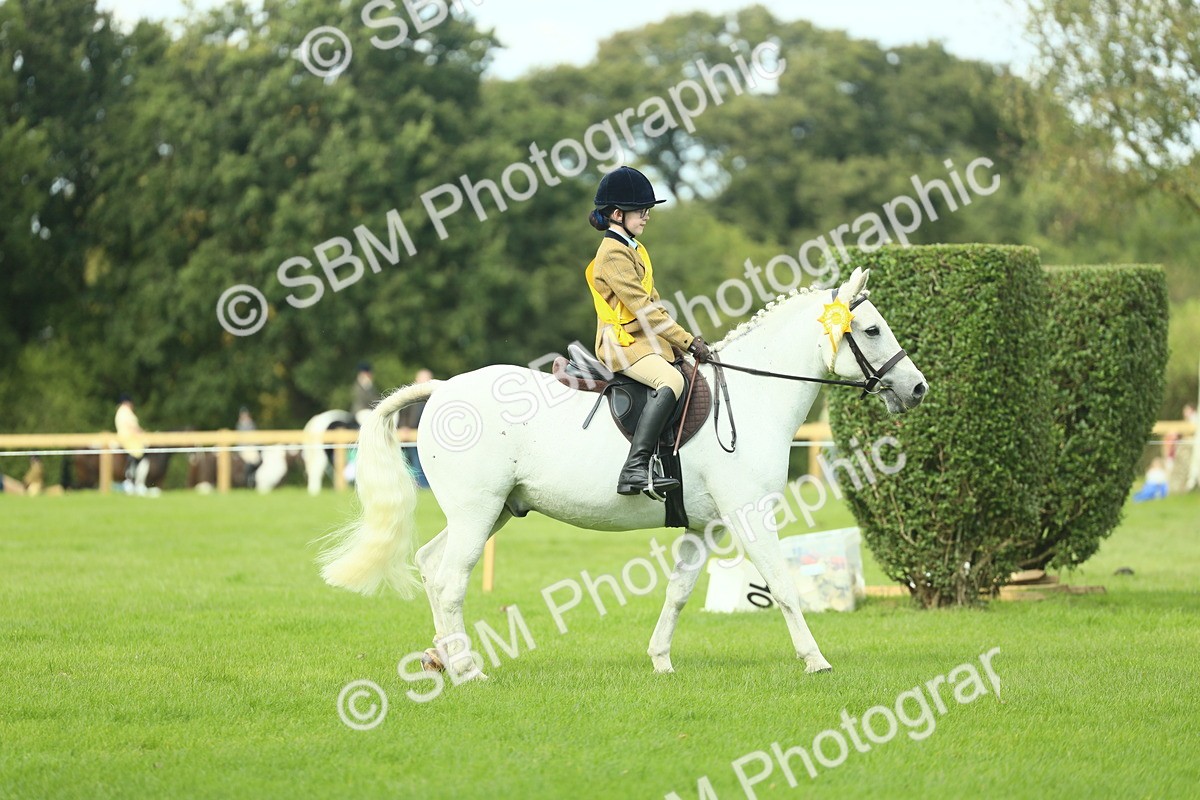 SBM_44859 - Working Hunter Pony Supreme Championship