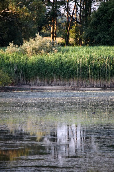 Chew Valley Lake_S207 - Somerset landscape Photography