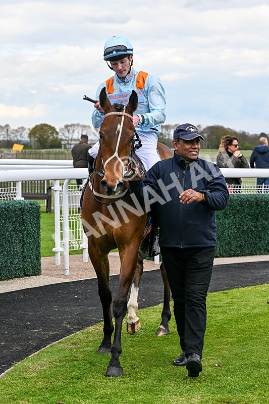 150426-Race 3-Bayside-6236 - Race 3