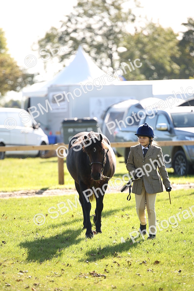 SBM_36631 - S10 - Best In Hand Horse & Pony