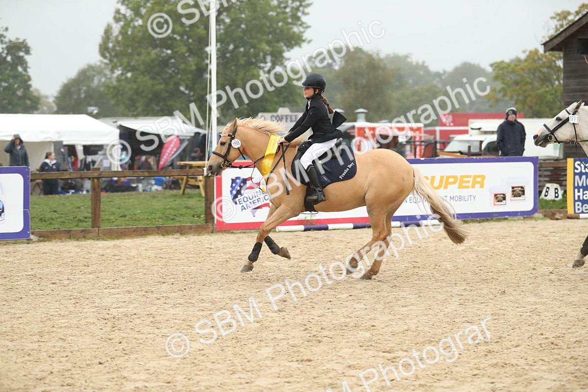 SBM_74138 - J16 - Junior Pony 75cm Championship