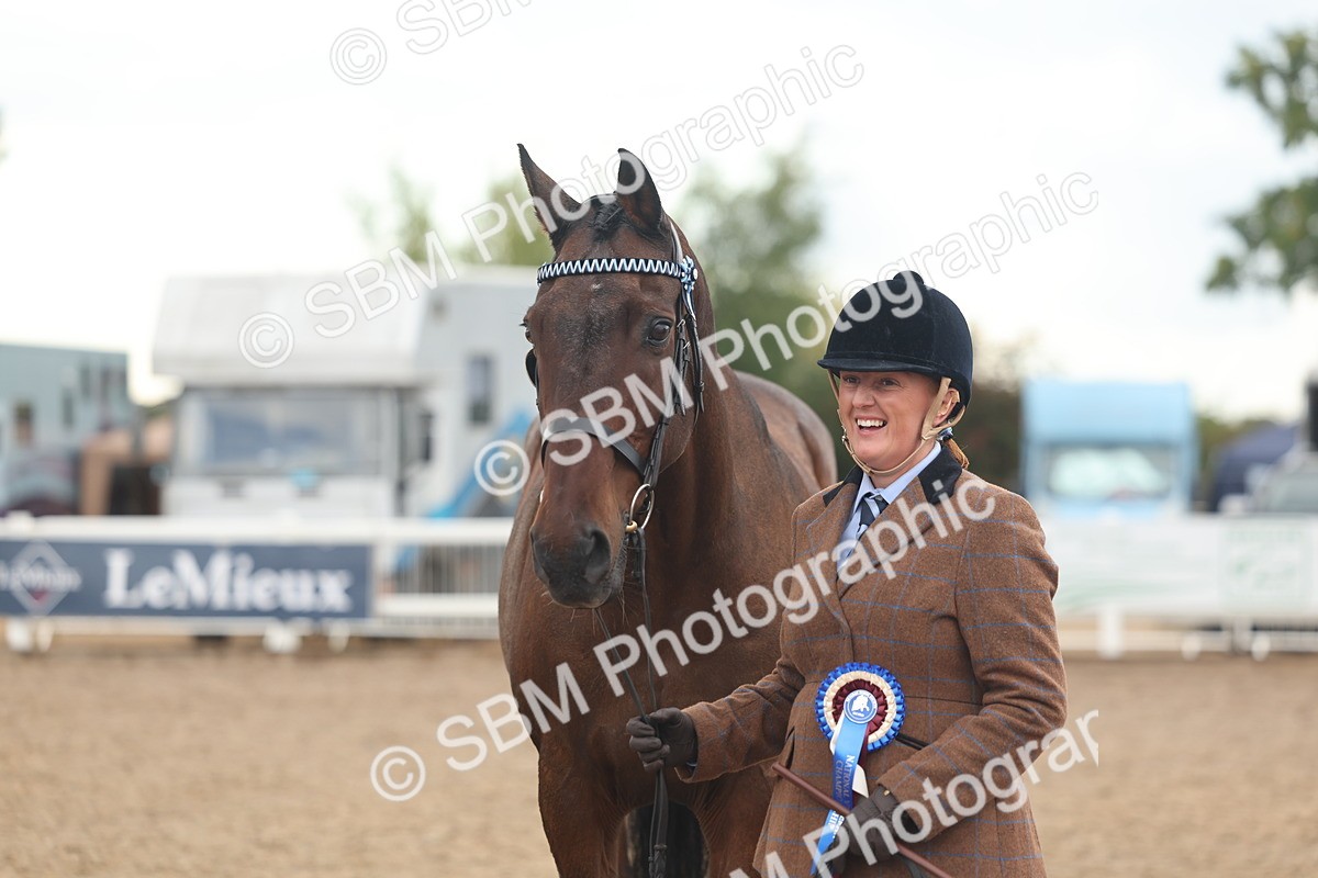 SBM_07842 - Class 27 - IH Competition Horse/Pony