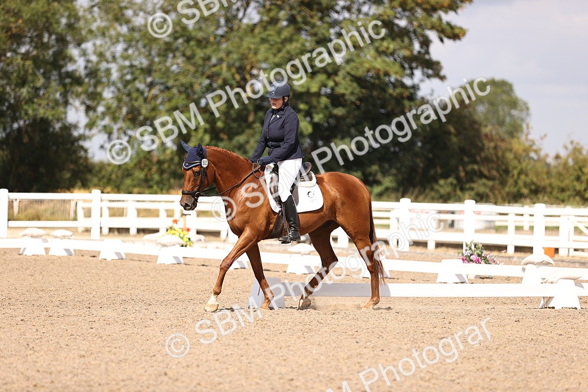 SBM_03667 - CLass 35 Intro 3