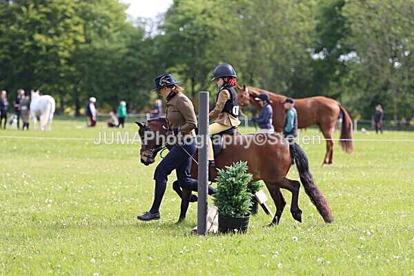 IMG_2161 - Working Hunter