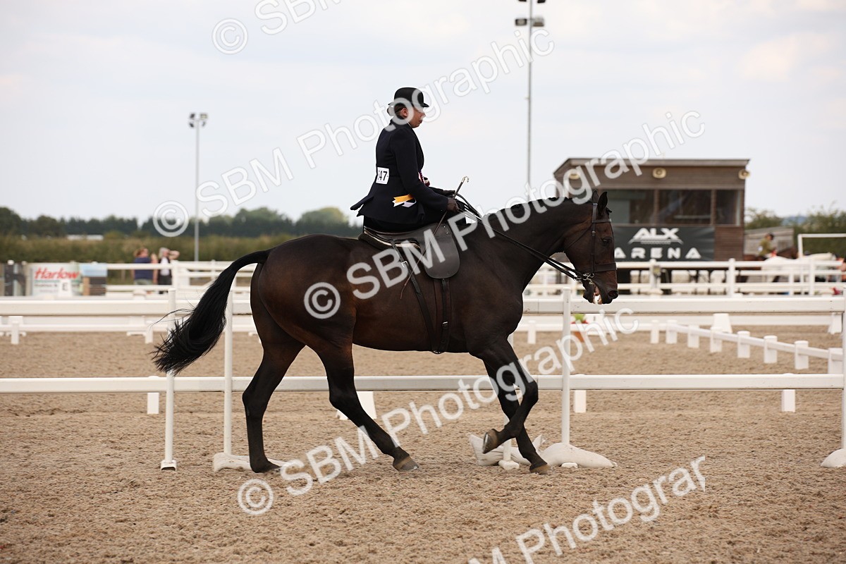 SBM_05539 - Class 22 SSA Equitation
