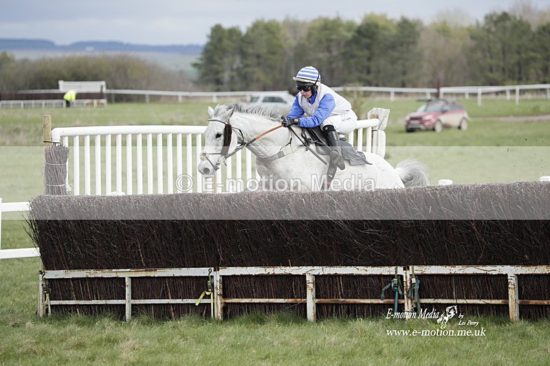 PtP 260323 0403 - New Forest Hounds Point-to-Point Larkhill 26/03/23