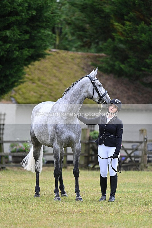 WJ7_6138 - Class 4a Prettiest Mare over 14hh