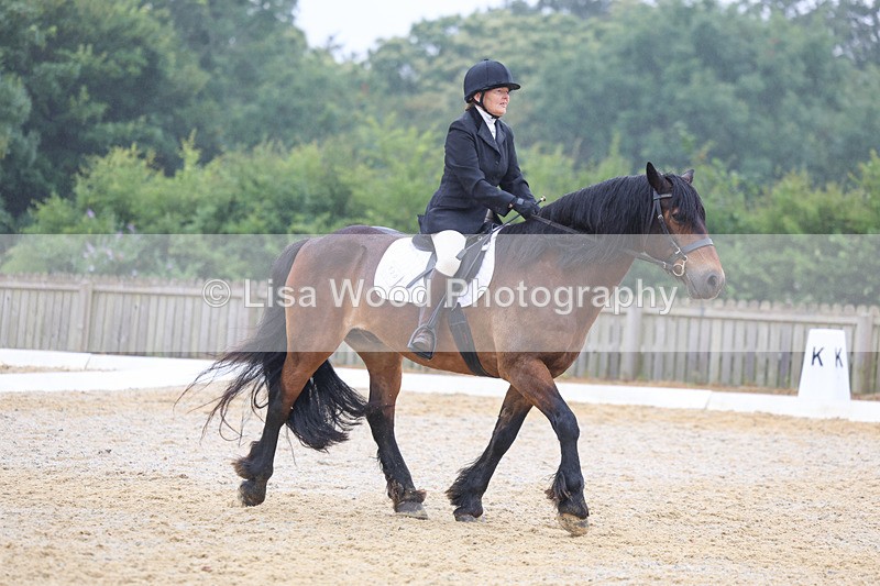 3E7A8451 - Class 2: Intro 3 2024 section B