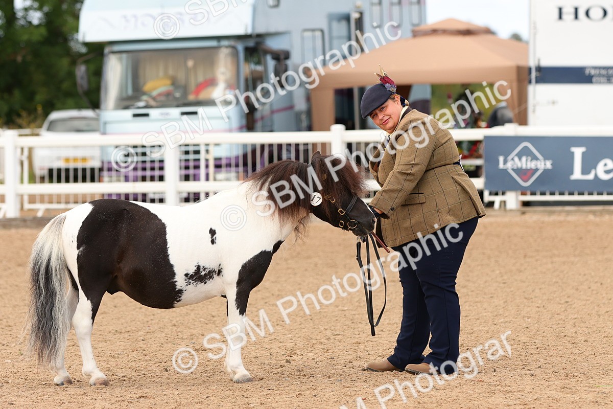 SBM_10288 - Class 206 - IH Non Show Type Pony