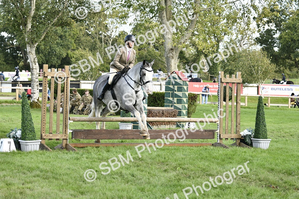 SBM_52193 - S35 - Working Hunter & Working Show Horse