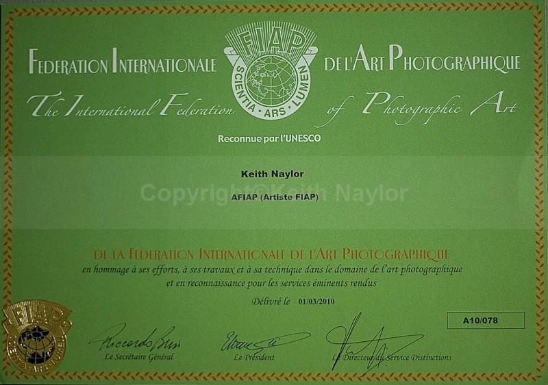 AFIAP Certificate - Awards