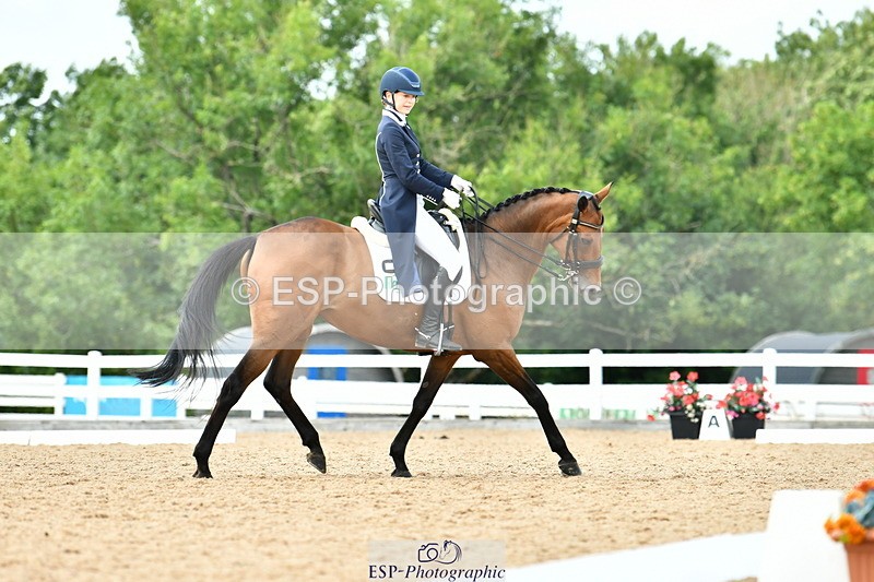 230702A-160744-11108 - Cls 37 + 42 FEI PSG + GP