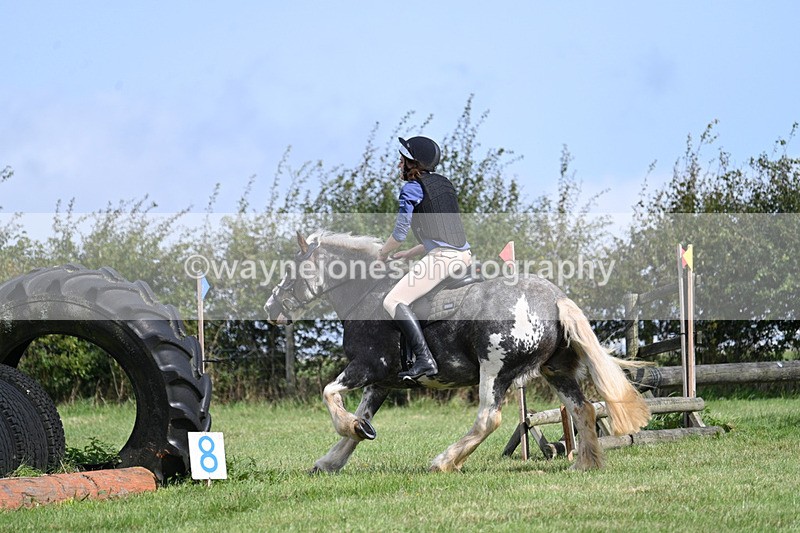 WJ7_6234 - Time 11:29 to 11:45