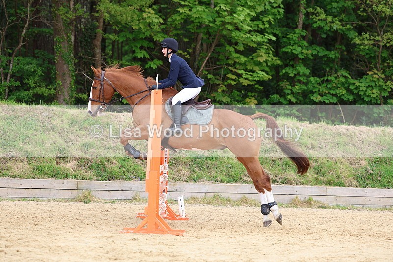 3E7A6244 - Class 4: Senior British Novice/90cm open