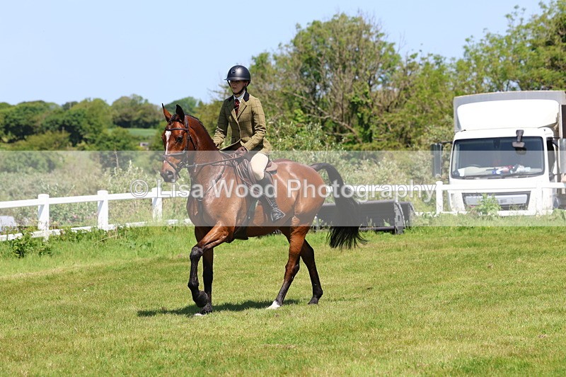 3E7A7246 - Class 30: Novice Working Hunter