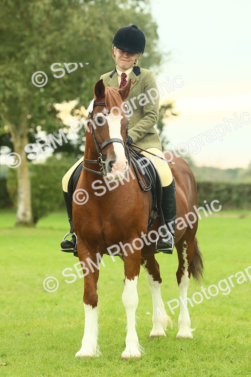 SBM_72226 - S60 - Mountain & Moorland Ridden Large Breeds