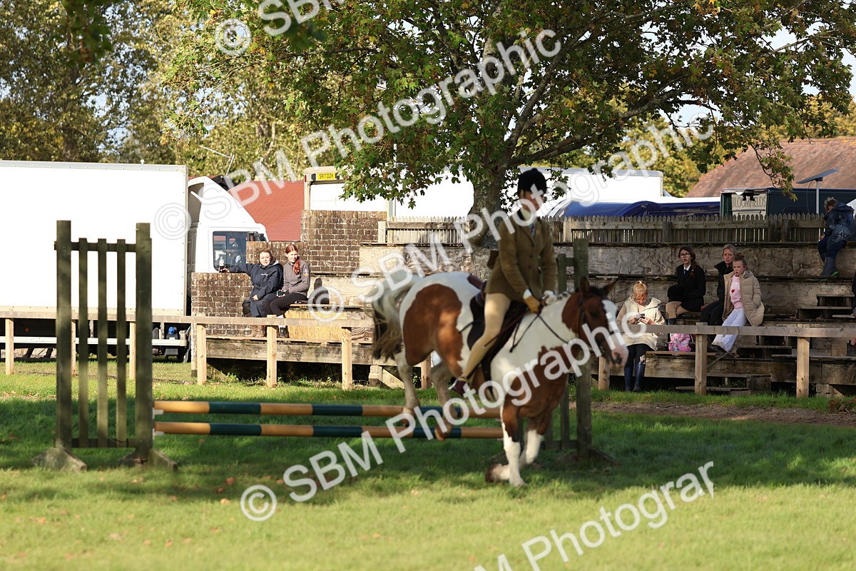 SBM_52509 - S13 - Pony Club Pony